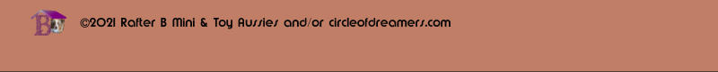 2021 Rafter B Mini & Toy Aussies and/or circleofdreamers.com