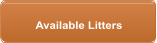 Available Litters