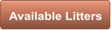 Available Litters