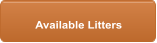 Available Litters